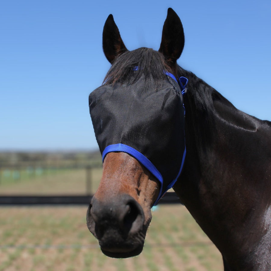 AE Everyday Fly Mask - Active Equine