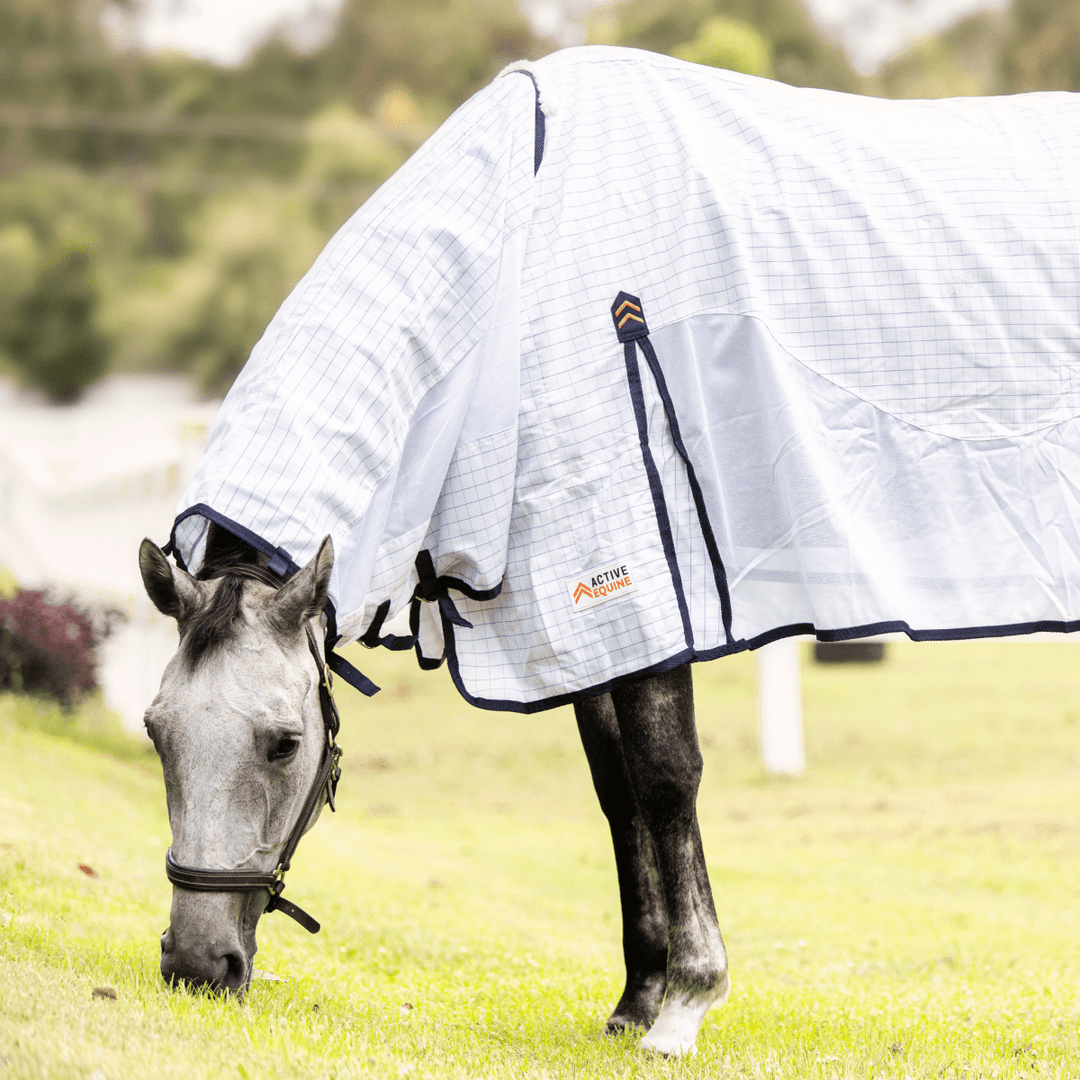 AE Everyday Hybrid Combo - Active Equine