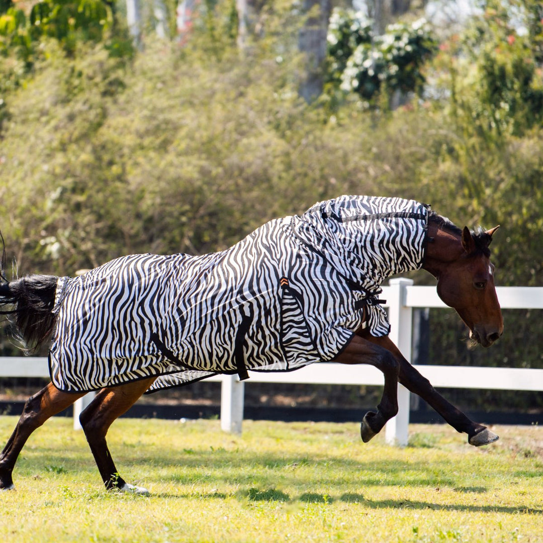 AE Zebra Fly Mesh Combo - Active Equine