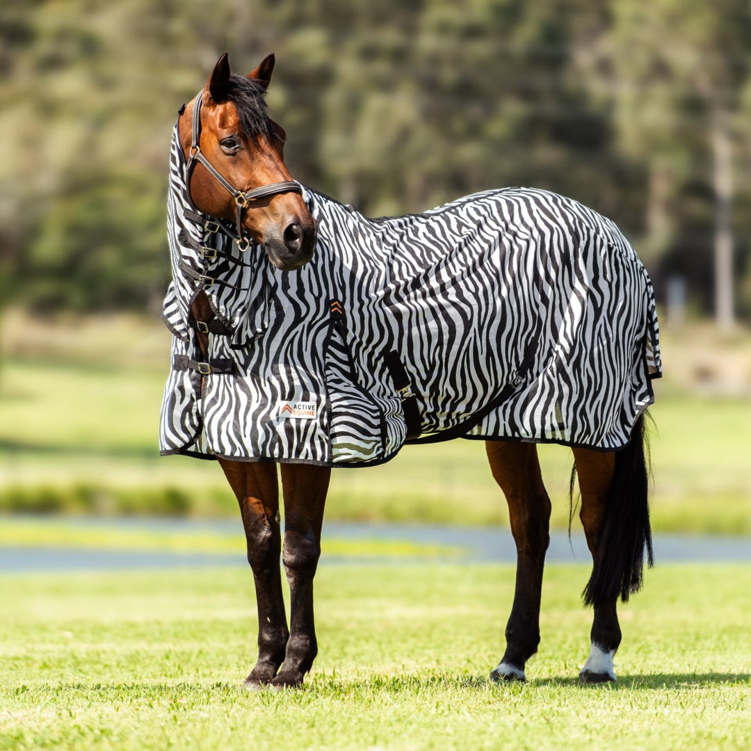 AE Zebra Fly Mesh Combo - Active Equine