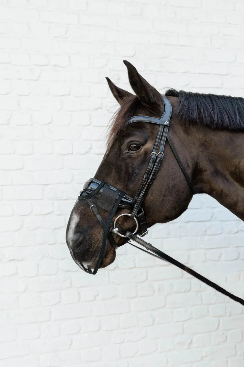 Anti - fly Nose Net | Kentucky Horsewear - Active Equine