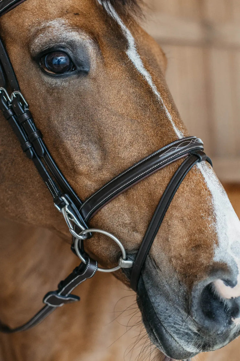 Flash Noseband Bridle with Snap Cheekpieces | Dyon - Active Equine