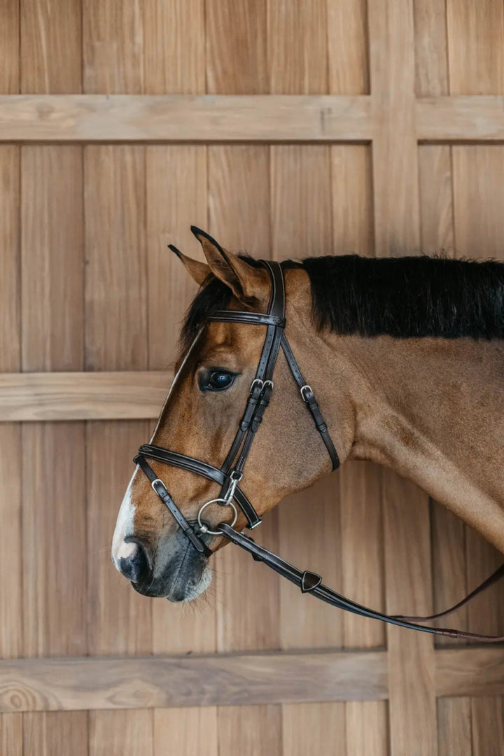 Flash Noseband Bridle with Snap Cheekpieces | Dyon - Active Equine