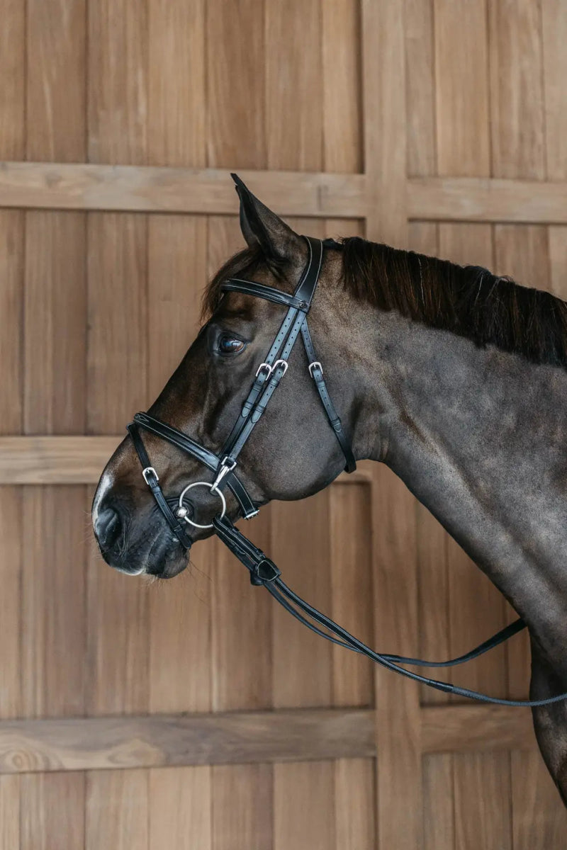 Flash Noseband Bridle with Snap Cheekpieces | Dyon - Active Equine