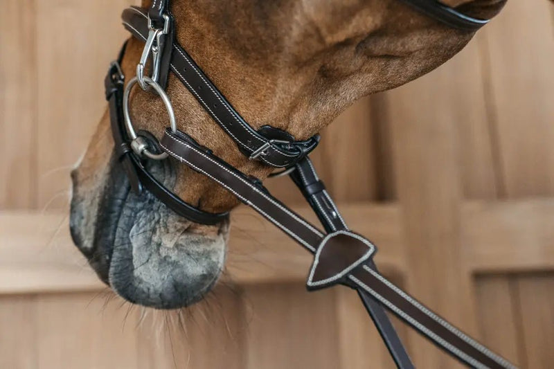 Flash Noseband Bridle with Snap Cheekpieces | Dyon - Active Equine