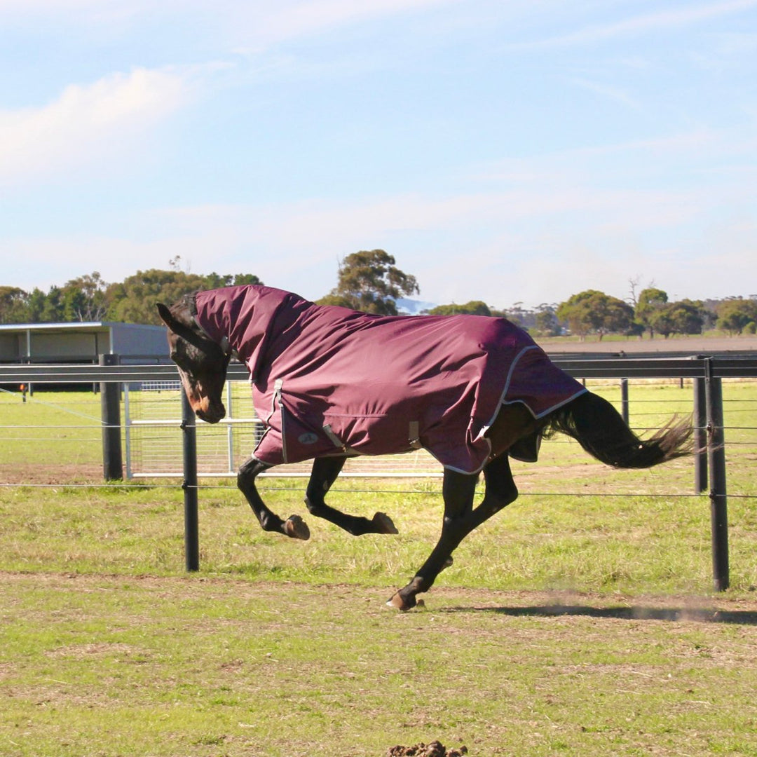 HM Dark Purple 600D Combo Rug - Active Equine