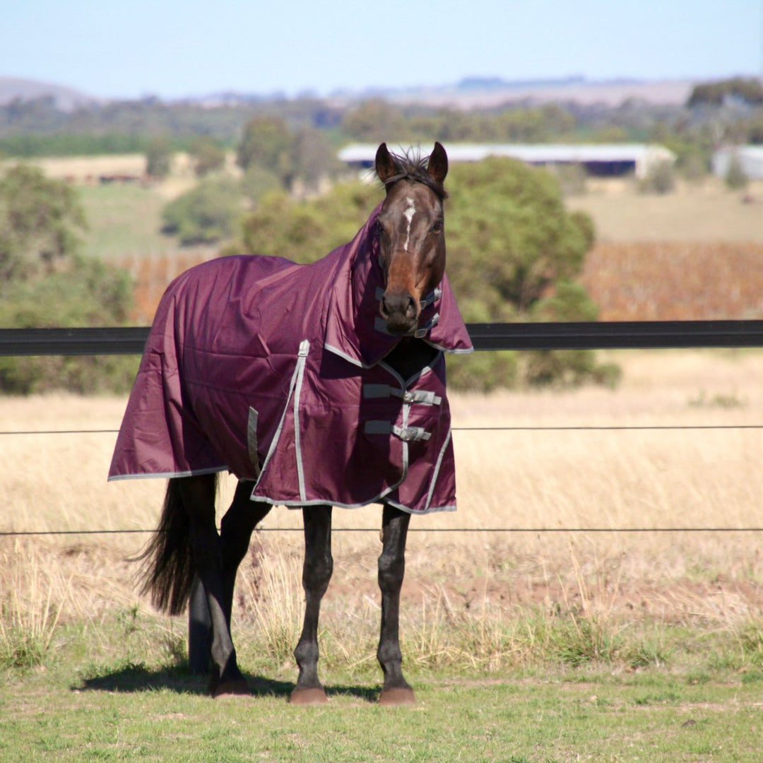 HM Dark Purple 600D Combo Rug - Active Equine