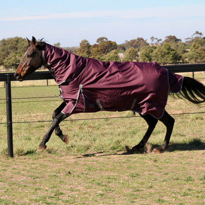 HM Dark Purple 600D Combo Rug - Active Equine