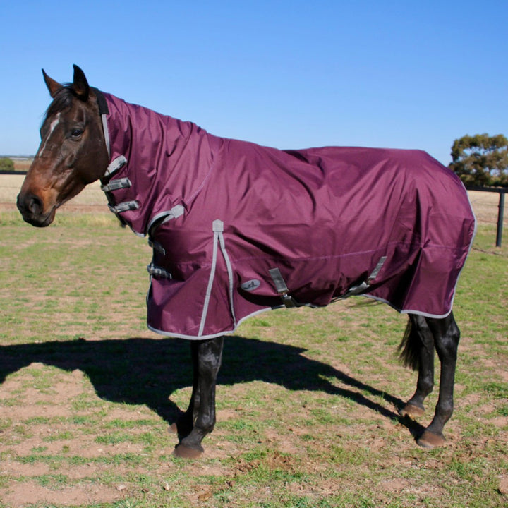 HM Dark Purple 600D Combo Rug - Active Equine