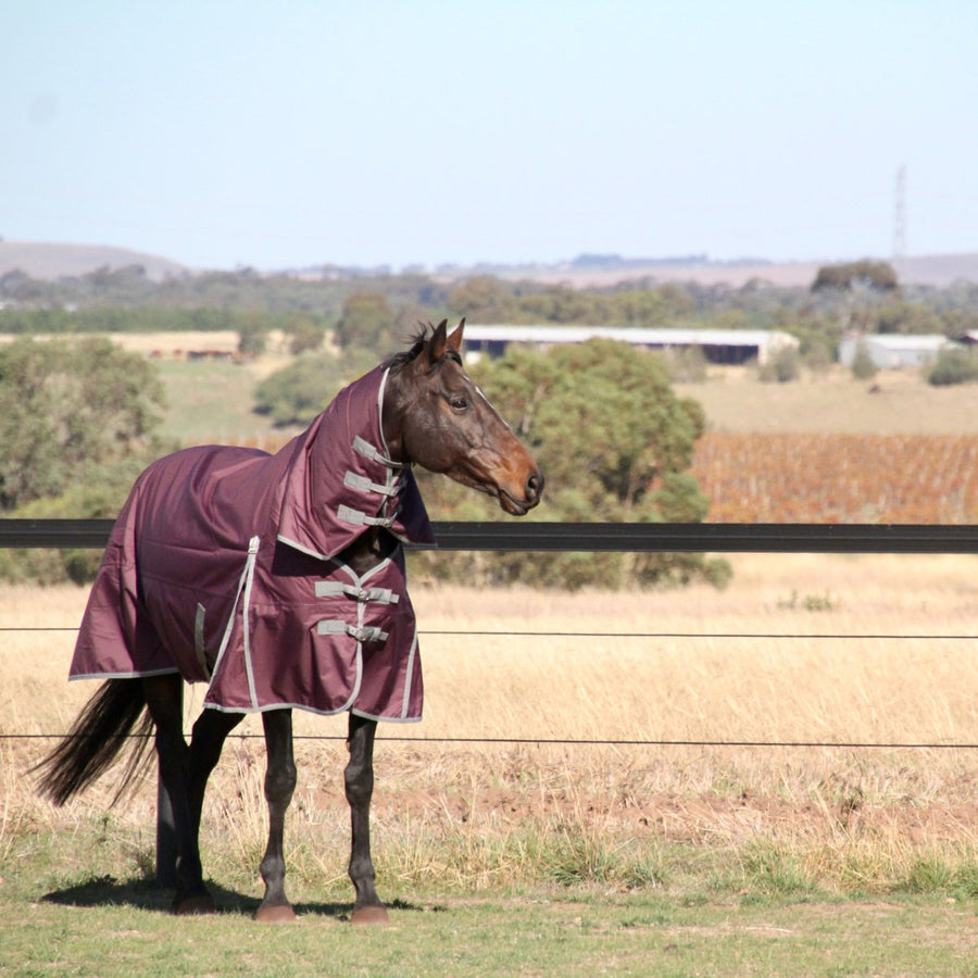 HM Dark Purple 600D Combo Rug - Active Equine