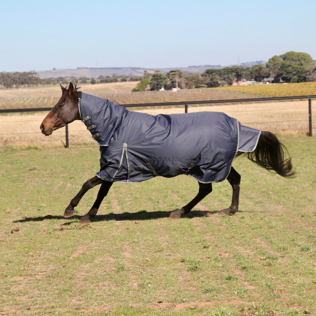 HM Navy 600D Combo Rug - Active Equine