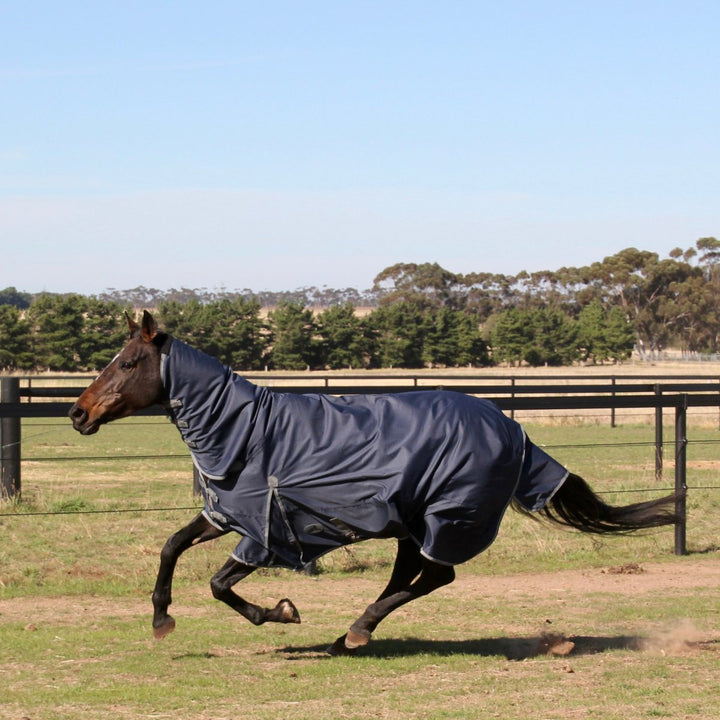 HM Navy 600D Combo Rug - Active Equine