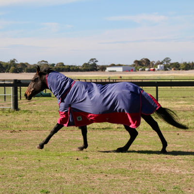 HM Rainsheet 0g 1200D Combo Rug - Active Equine