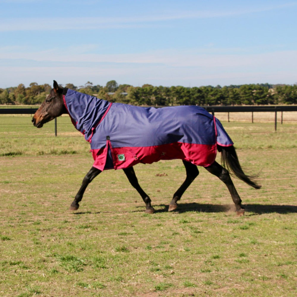 HM Rainsheet 0g 1200D Combo Rug - Active Equine