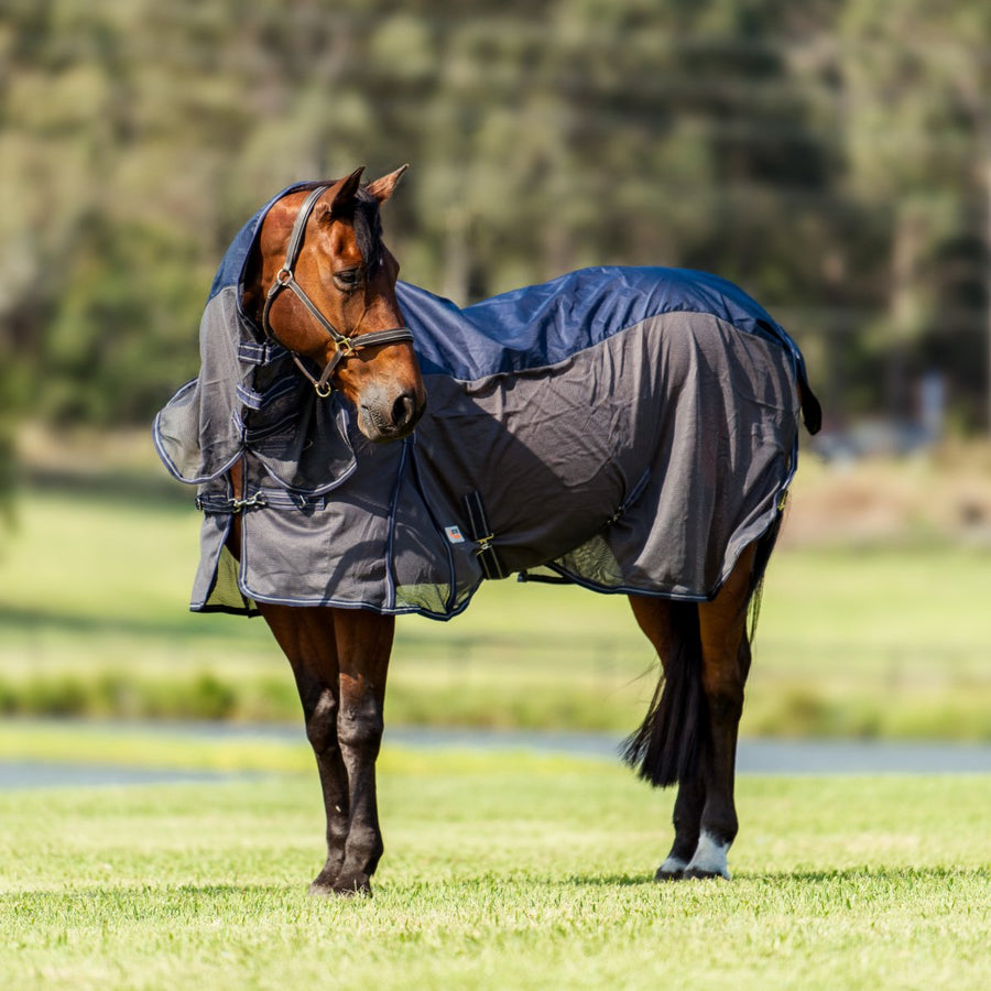 Mesh Crossover Rugs Rainsheet Horse Rug | Hybrid Combo Rug 600D – Active Equine