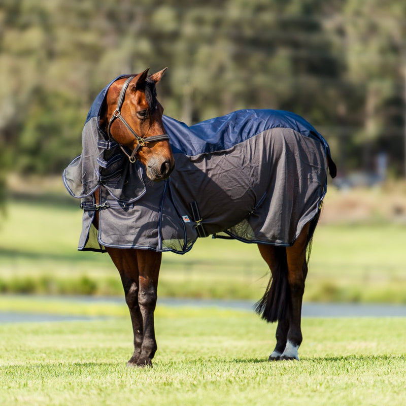 Hybrid Rainsheet Combo Rug 600D | Active Equine - Active Equine