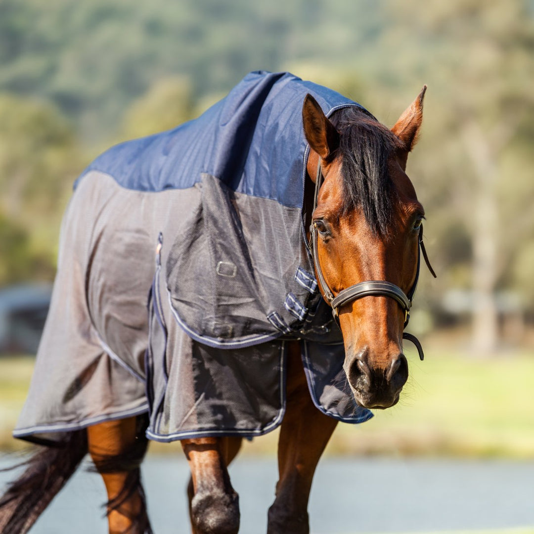 Hybrid Rainsheet Combo Rug 600D | Active Equine - Active Equine