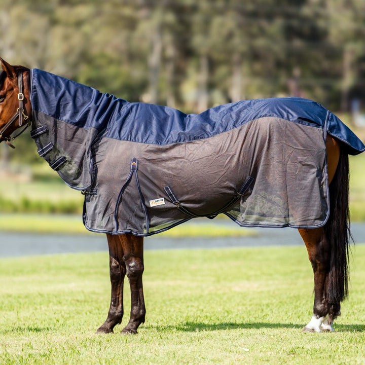 Hybrid Rainsheet Combo Rug 600D | Active Equine - Active Equine