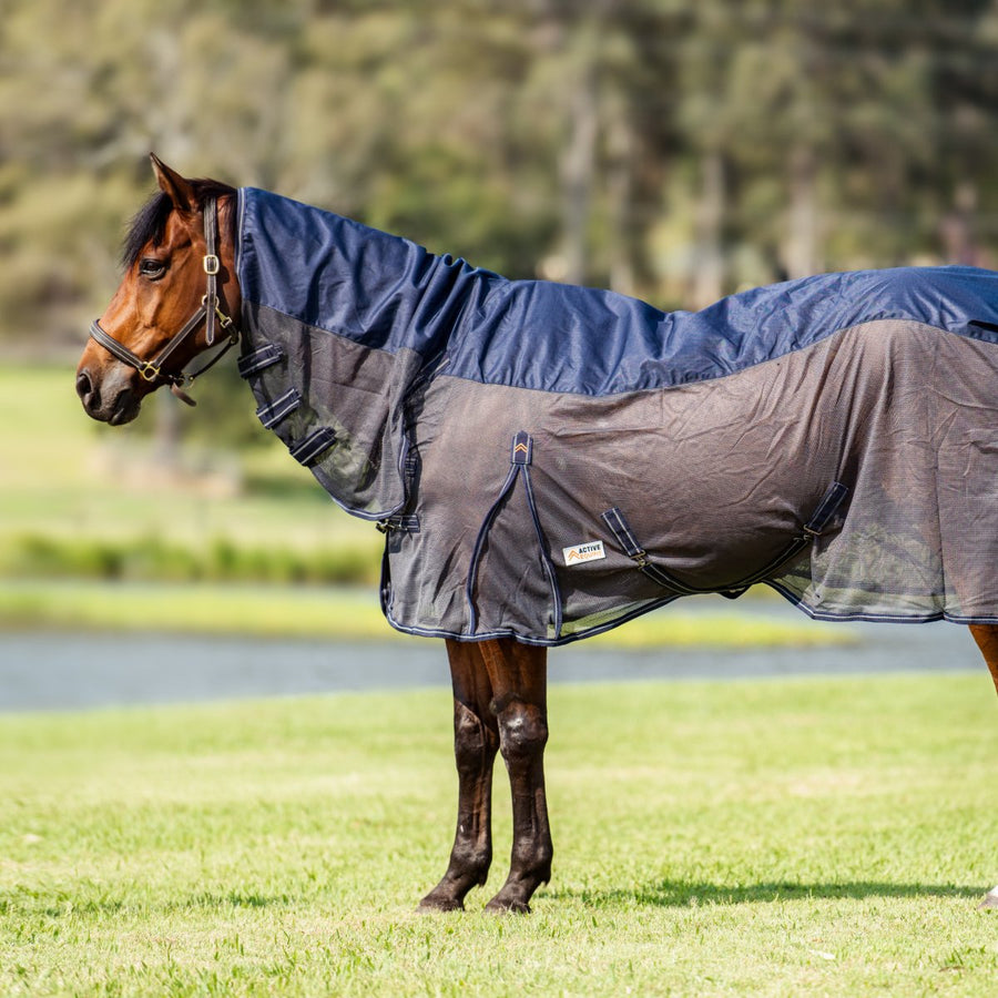 Hybrid Rainsheet Combo Rug 600D | Active Equine - Active Equine