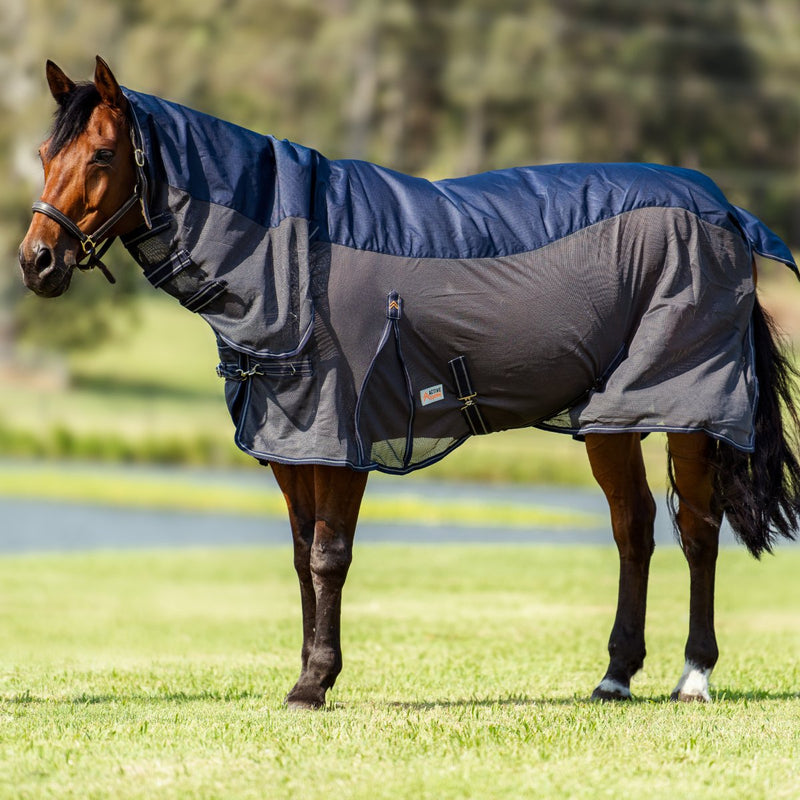 Hybrid Rainsheet Combo Rug 600D | Active Equine - Active Equine