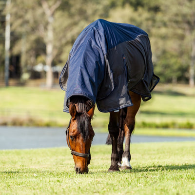 Hybrid Rainsheet Combo Rug 600D | Active Equine - Active Equine