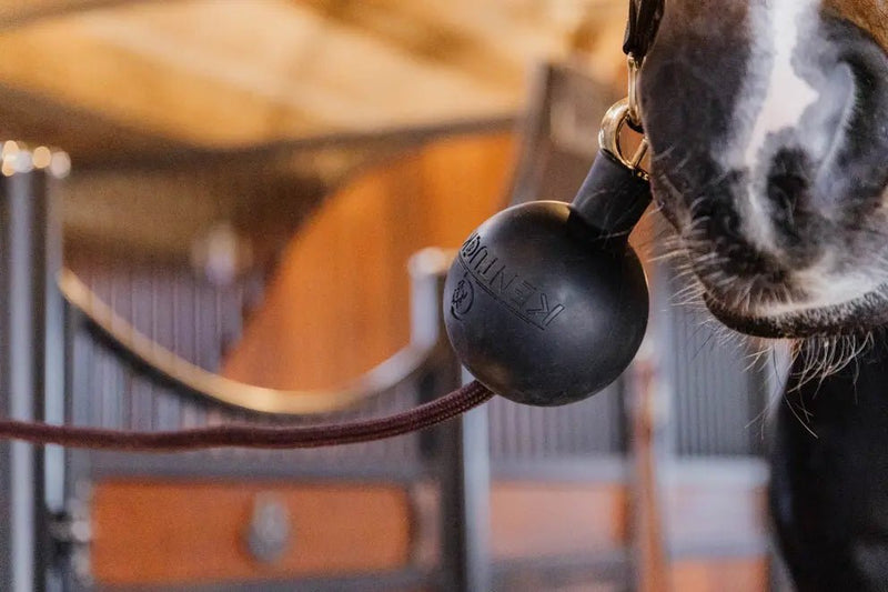 Lead & Wall Protection Rubber Ball | Kentucky - Active Equine