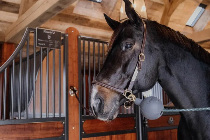 Lead & Wall Protection Rubber Ball | Kentucky - Active Equine