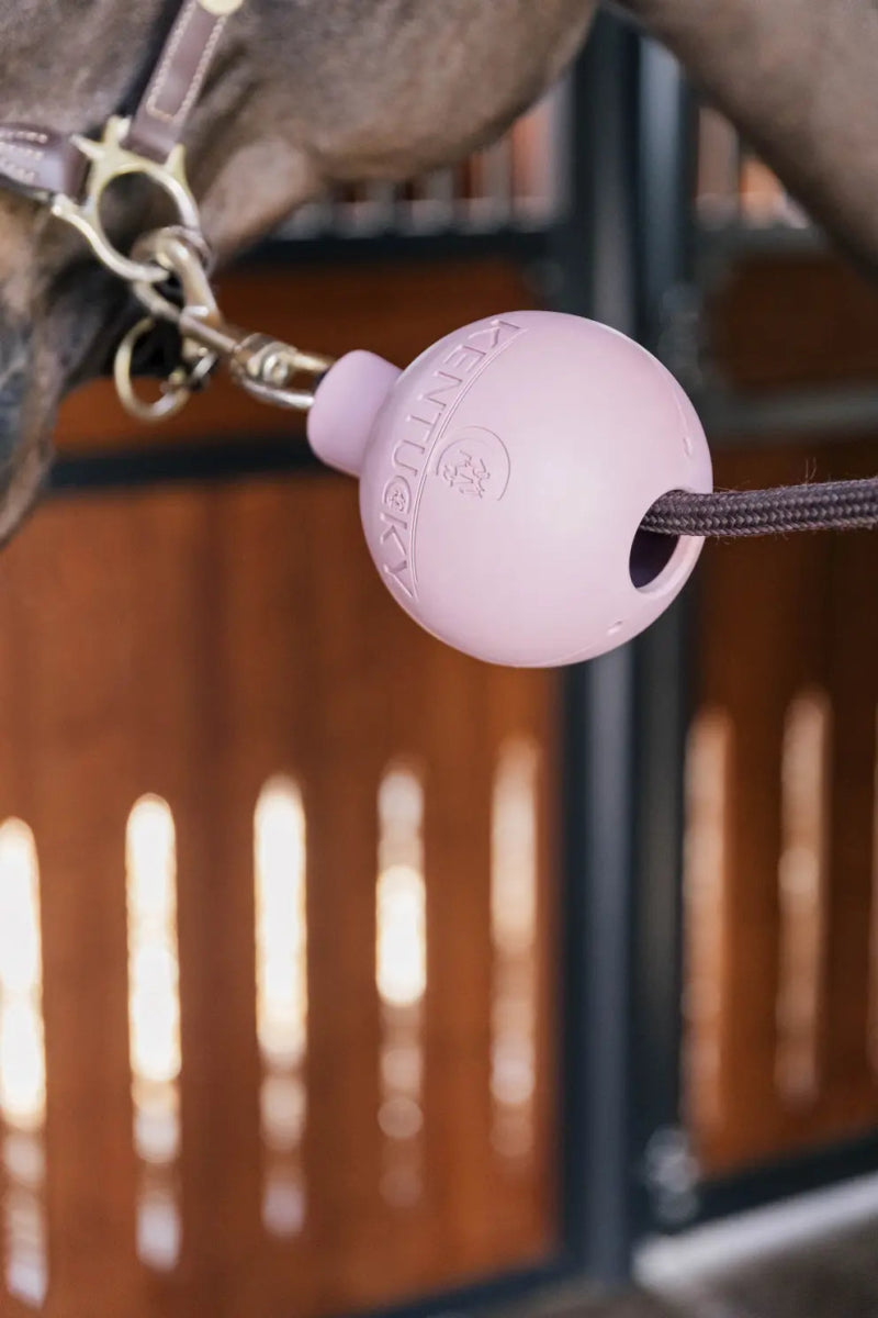 Lead & Wall Protection Rubber Ball | Kentucky - Active Equine