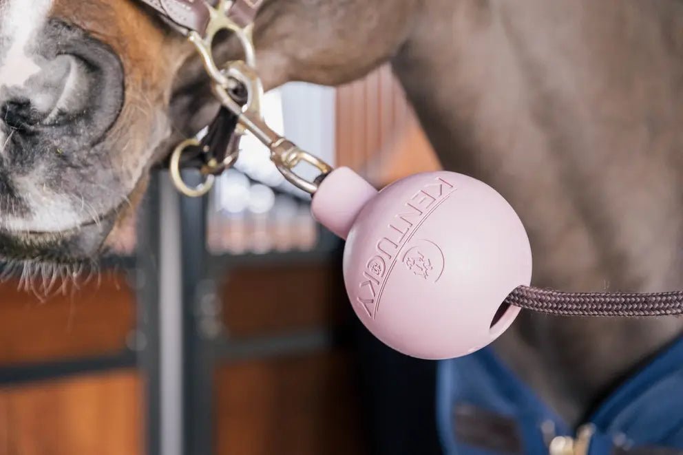 Lead & Wall Protection Rubber Ball | Kentucky - Active Equine