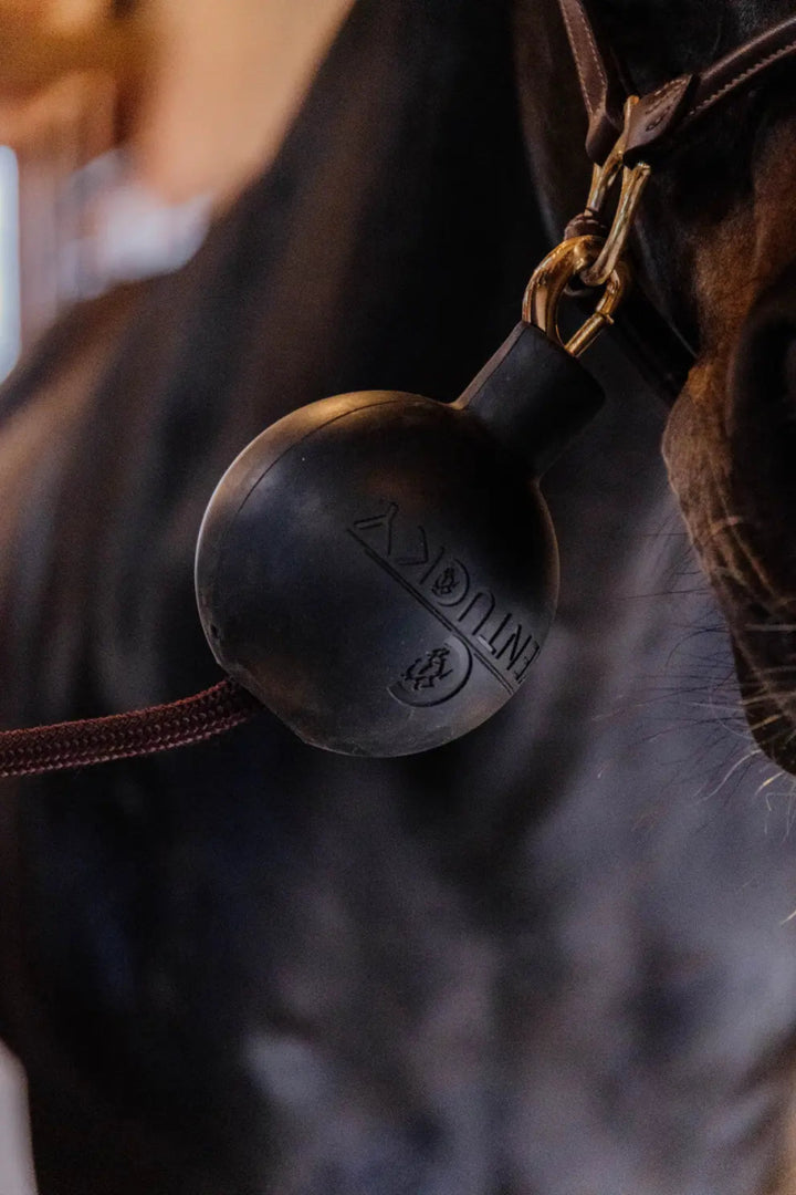 Lead & Wall Protection Rubber Ball | Kentucky - Active Equine