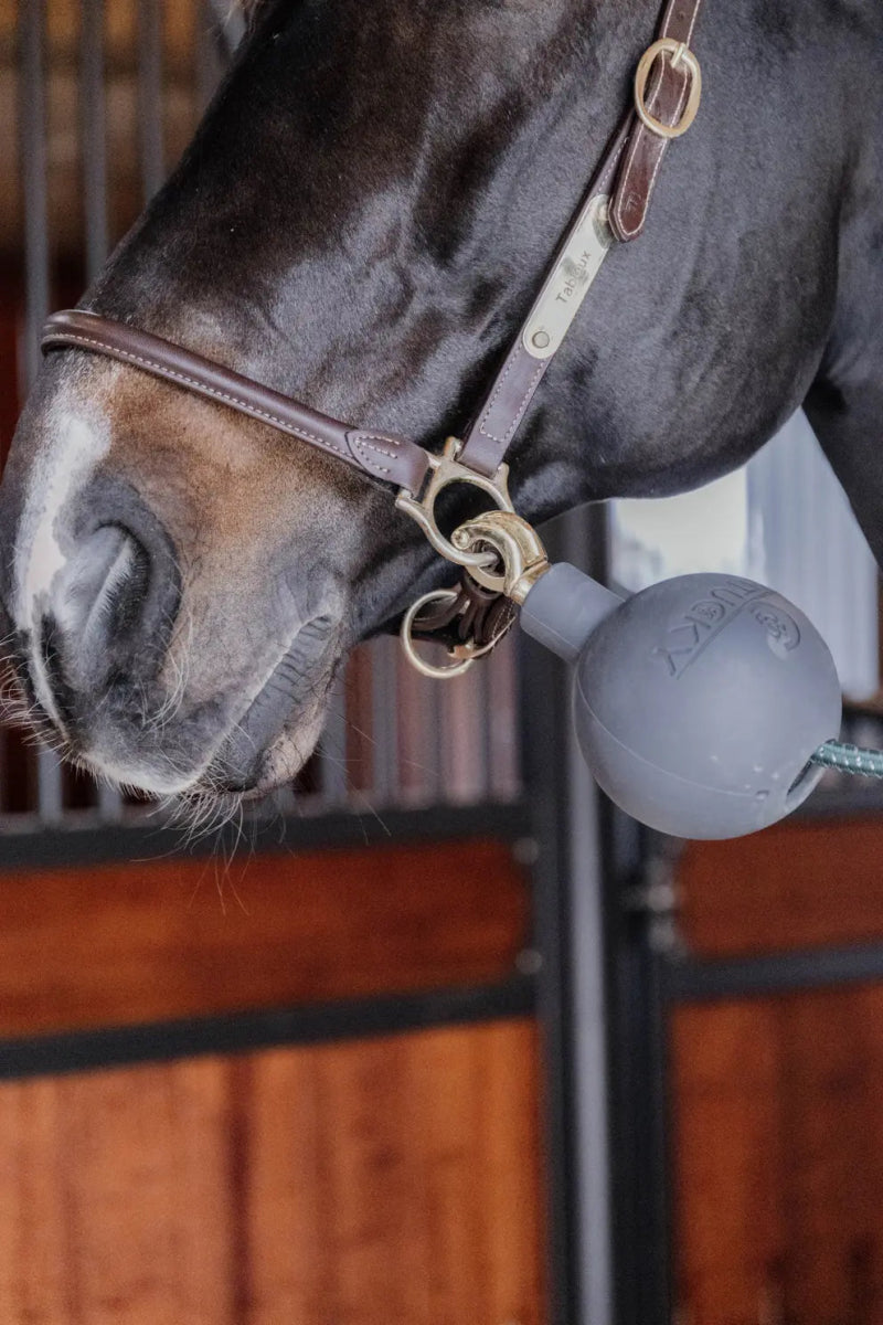 Lead & Wall Protection Rubber Ball | Kentucky - Active Equine