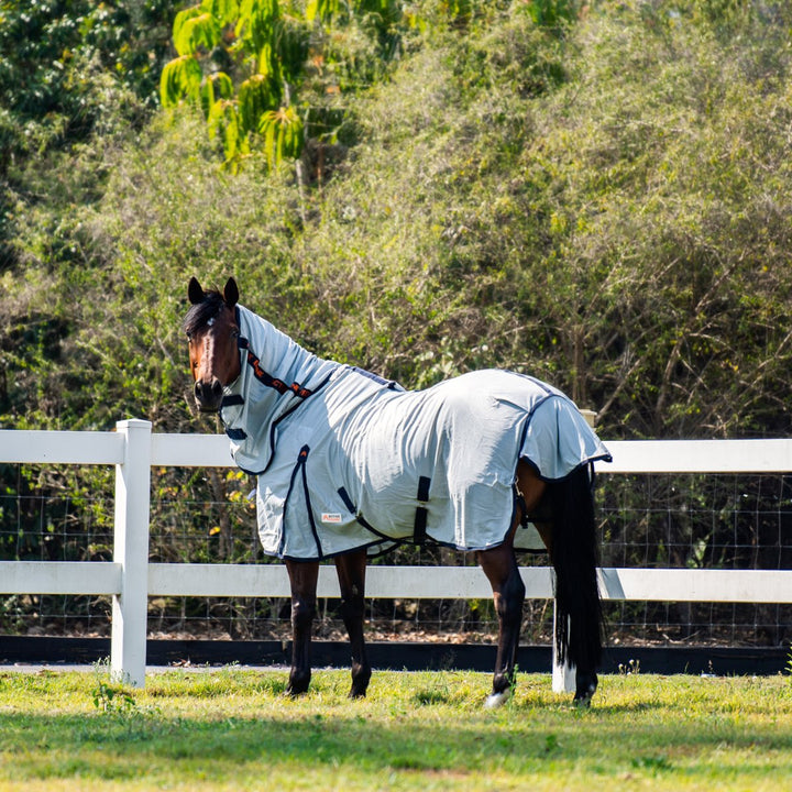 Mesh Combo Horse Rug 200gsm | Active Equine - Active Equine