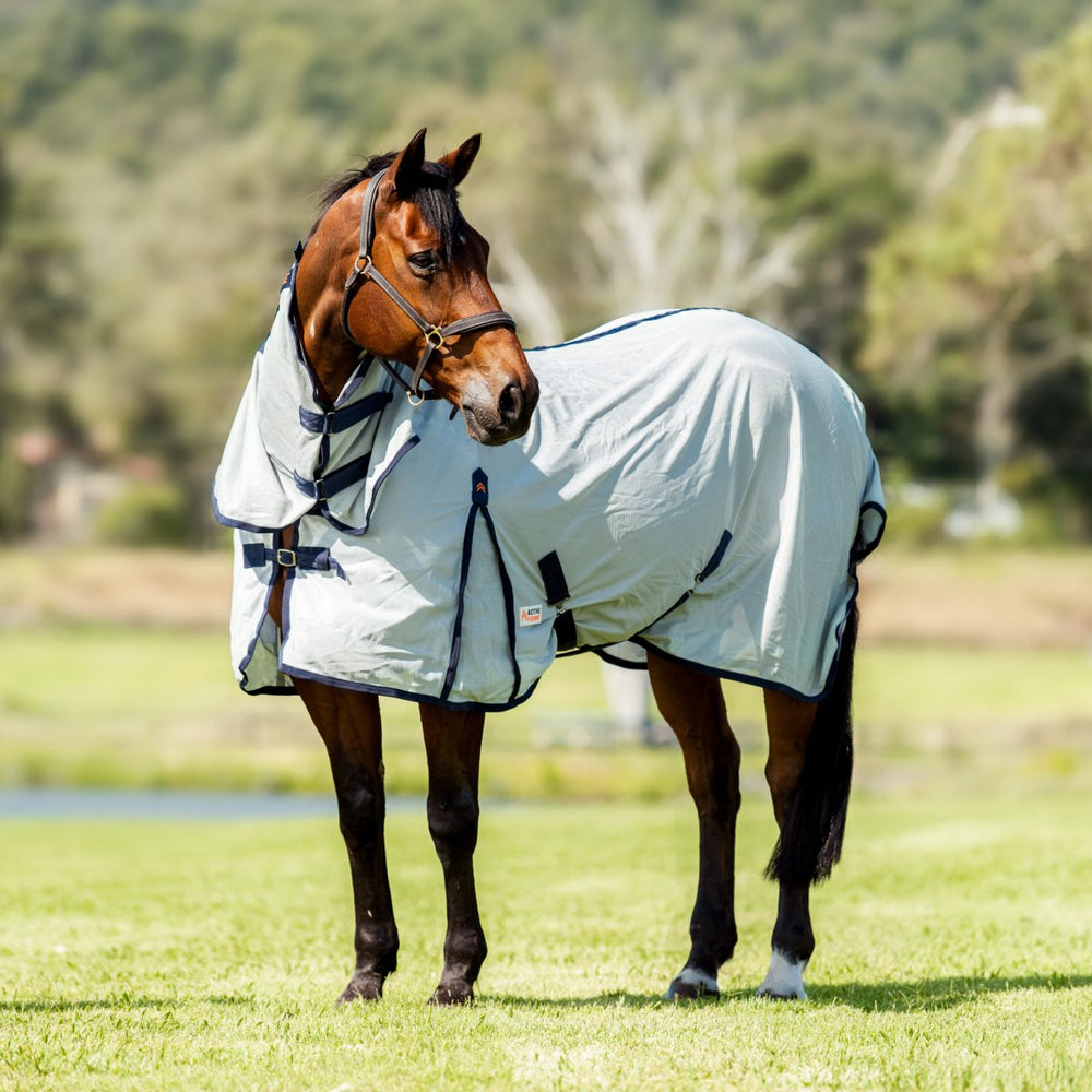 Mesh Combo Horse Rug 200gsm | Active Equine - Active Equine