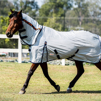 Mesh Combo Horse Rug 200gsm | Active Equine - Active Equine