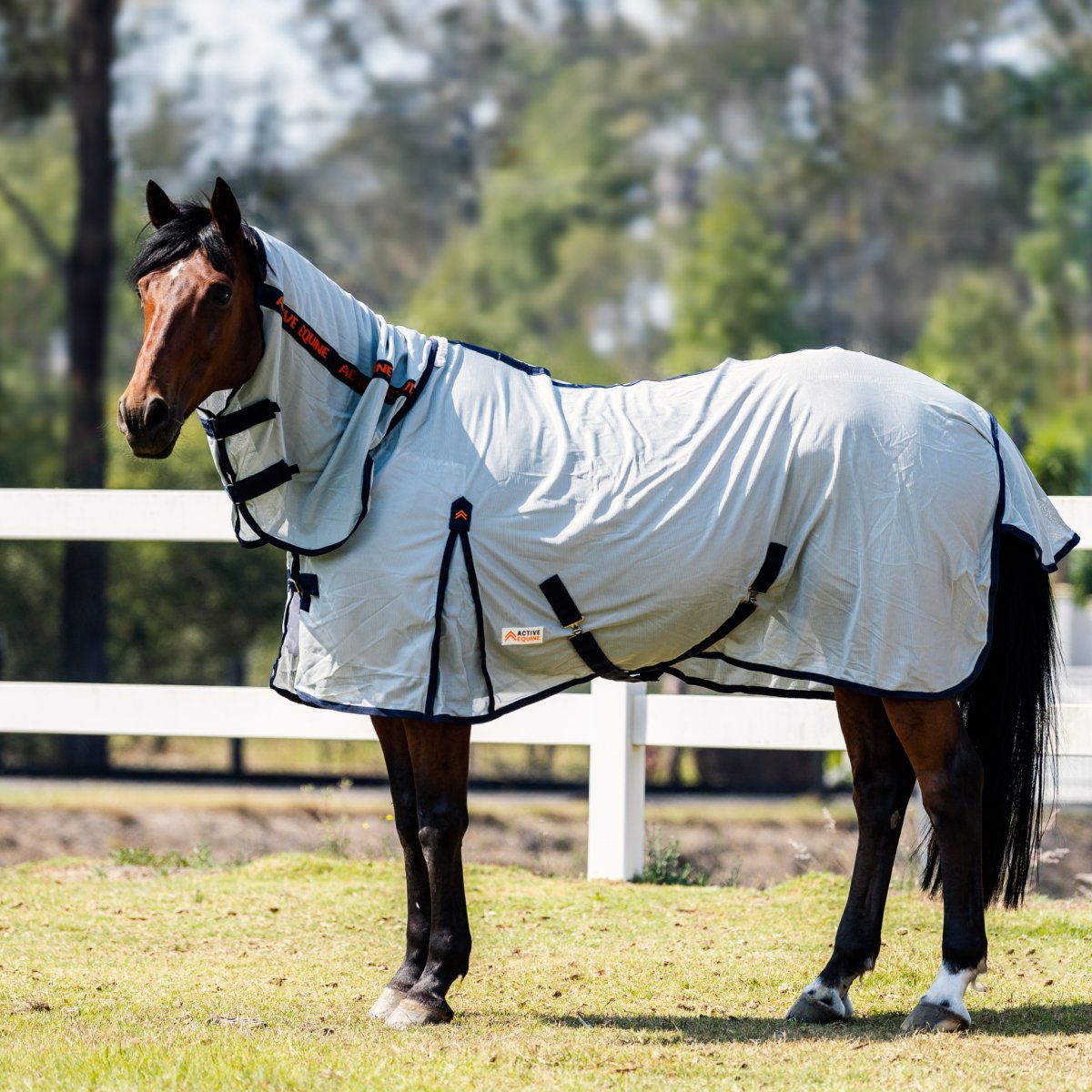 Mesh Combo Horse Rug 200gsm | Active Equine