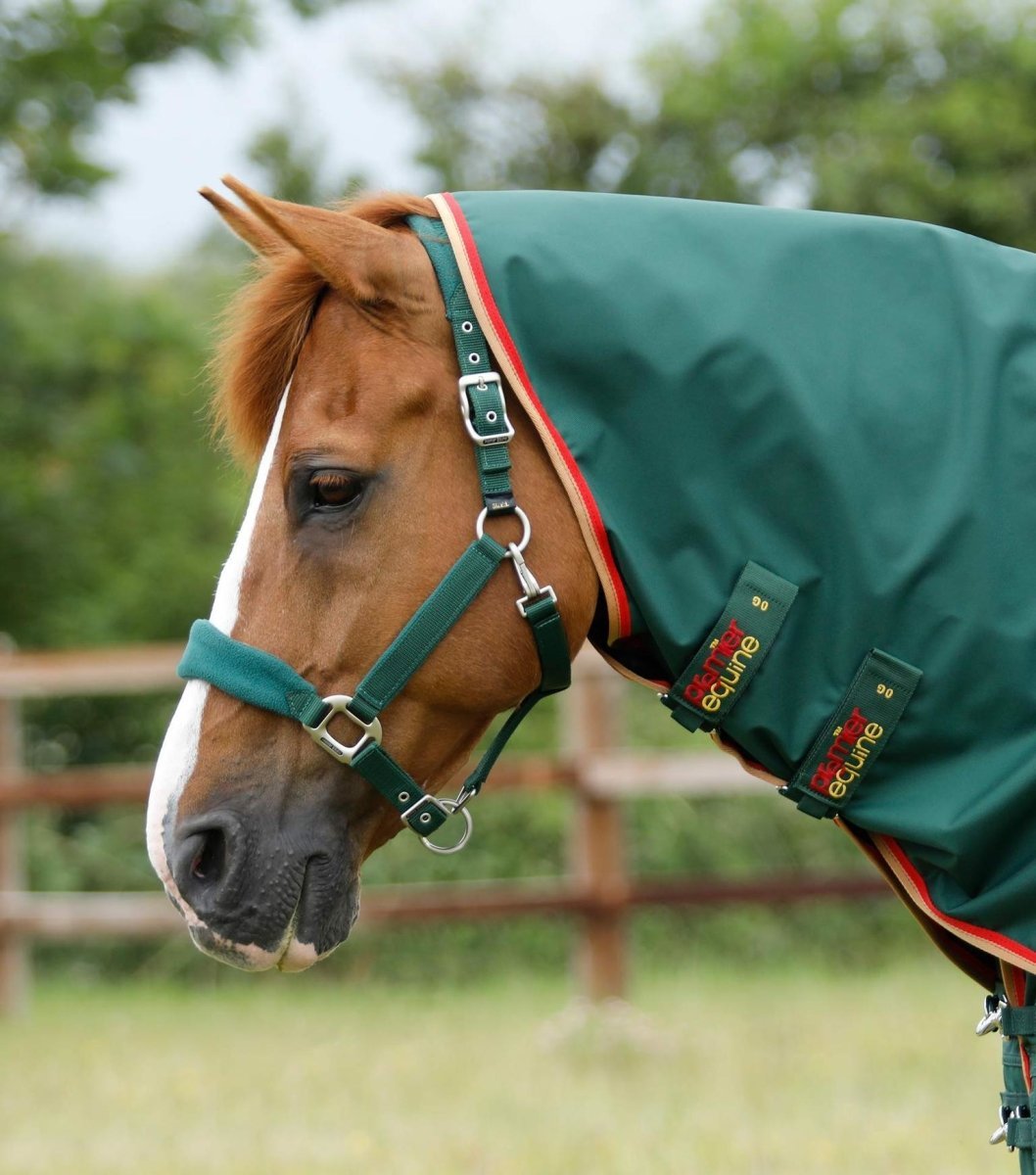 OUTLET PEI Buster 0g Turnout Rug Rainsheet (detachable neck, waterproof) - Active Equine