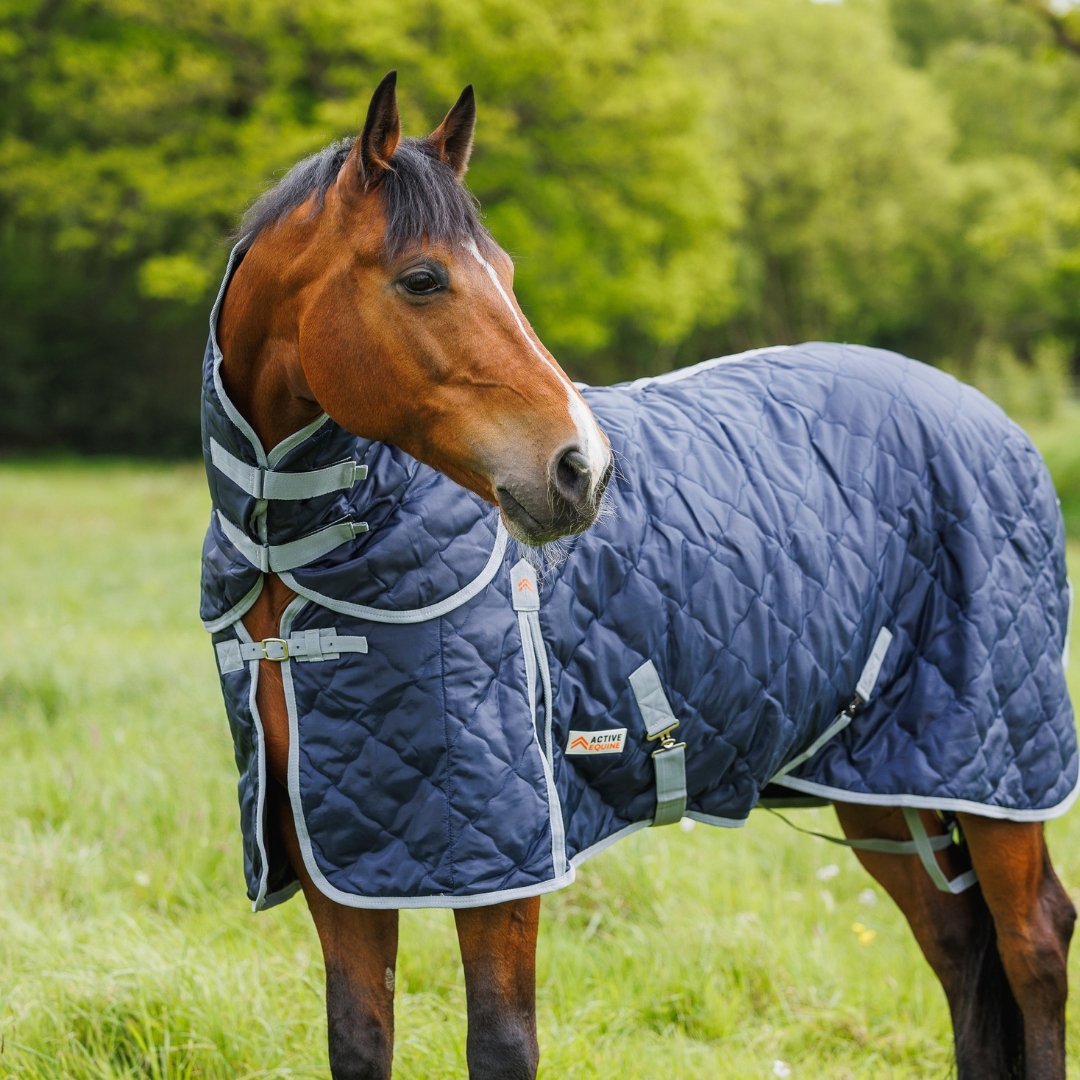 OUTLET Quilted Stable Rug with Detachable Neck | Active Equine - Active Equine