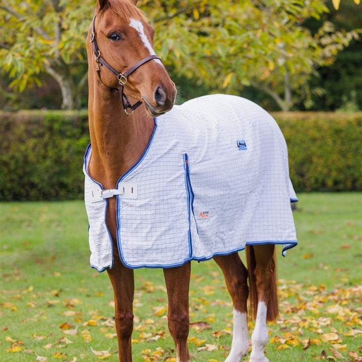 OUTLET Ripstop Premium Paddock Horse Rug | Active Equine - Active Equine