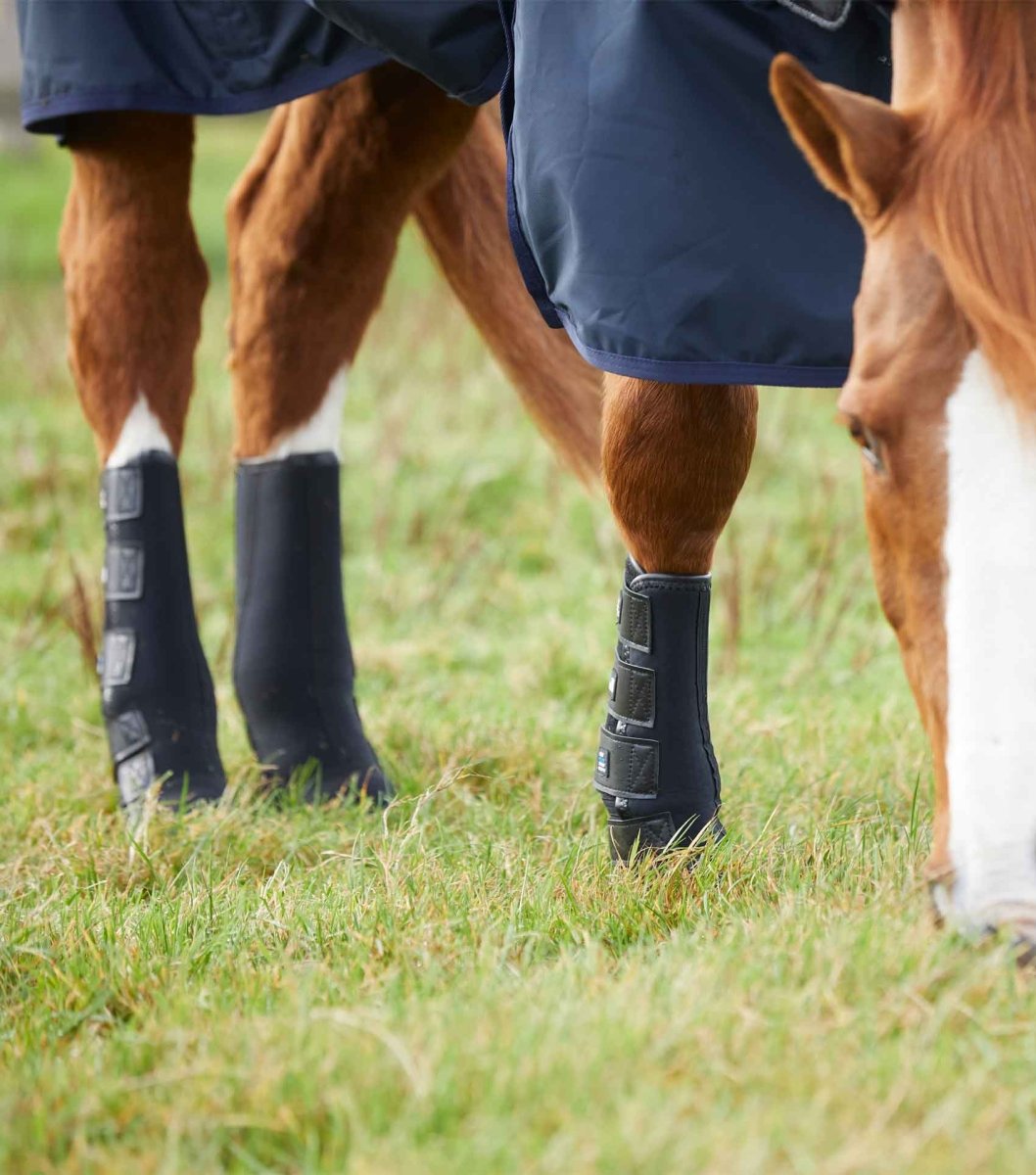 PEI Turnout/Mud Fever Horse Boots Equine Therapy - Active Equine