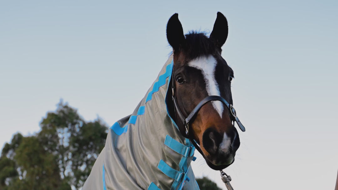 AeroMax Fly Rug with Belly Wrap