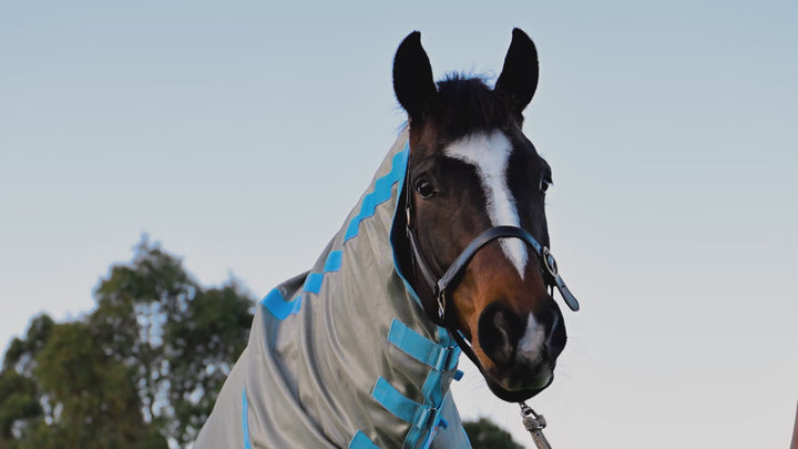AeroMax Fly Rug with Belly Wrap