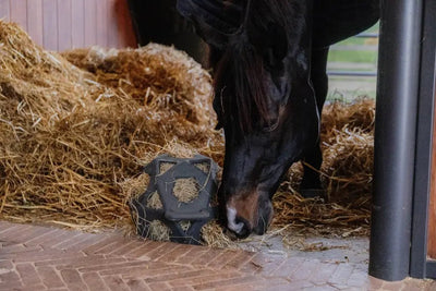 Relax Horse Play & Hay Ball Grey | Kentucky Horsewear - Active Equine