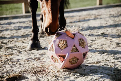 Relax Horse Play & Hay Ball Old Rose | Kentucky Horsewear - Active Equine