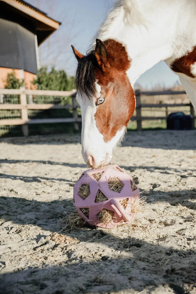 Relax Horse Play & Hay Ball Old Rose | Kentucky Horsewear - Active Equine