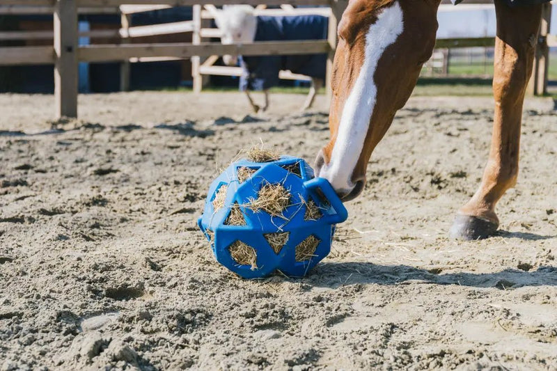 Relax Horse Play & Hay Ball Royal Blue | Kentucky Horsewear - Active Equine