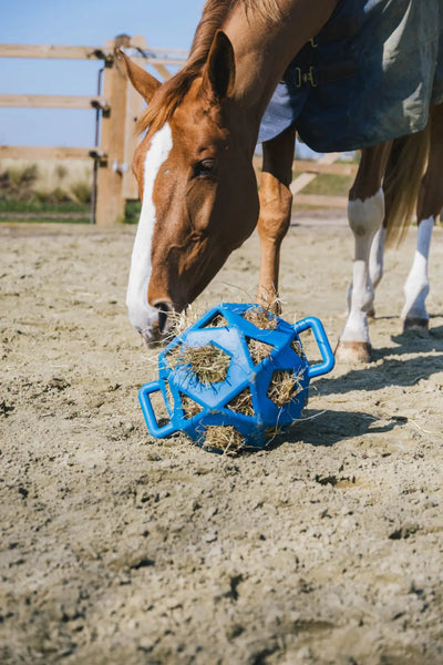 Relax Horse Play & Hay Ball Royal Blue | Kentucky Horsewear - Active Equine