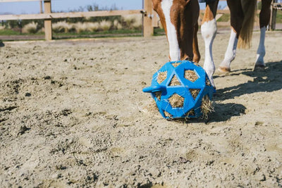 Relax Horse Play & Hay Ball Royal Blue | Kentucky Horsewear - Active Equine