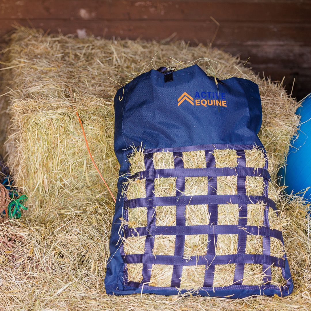 Slow Feed Hay Bag | Heavy Duty (Free Gift) - Active Equine