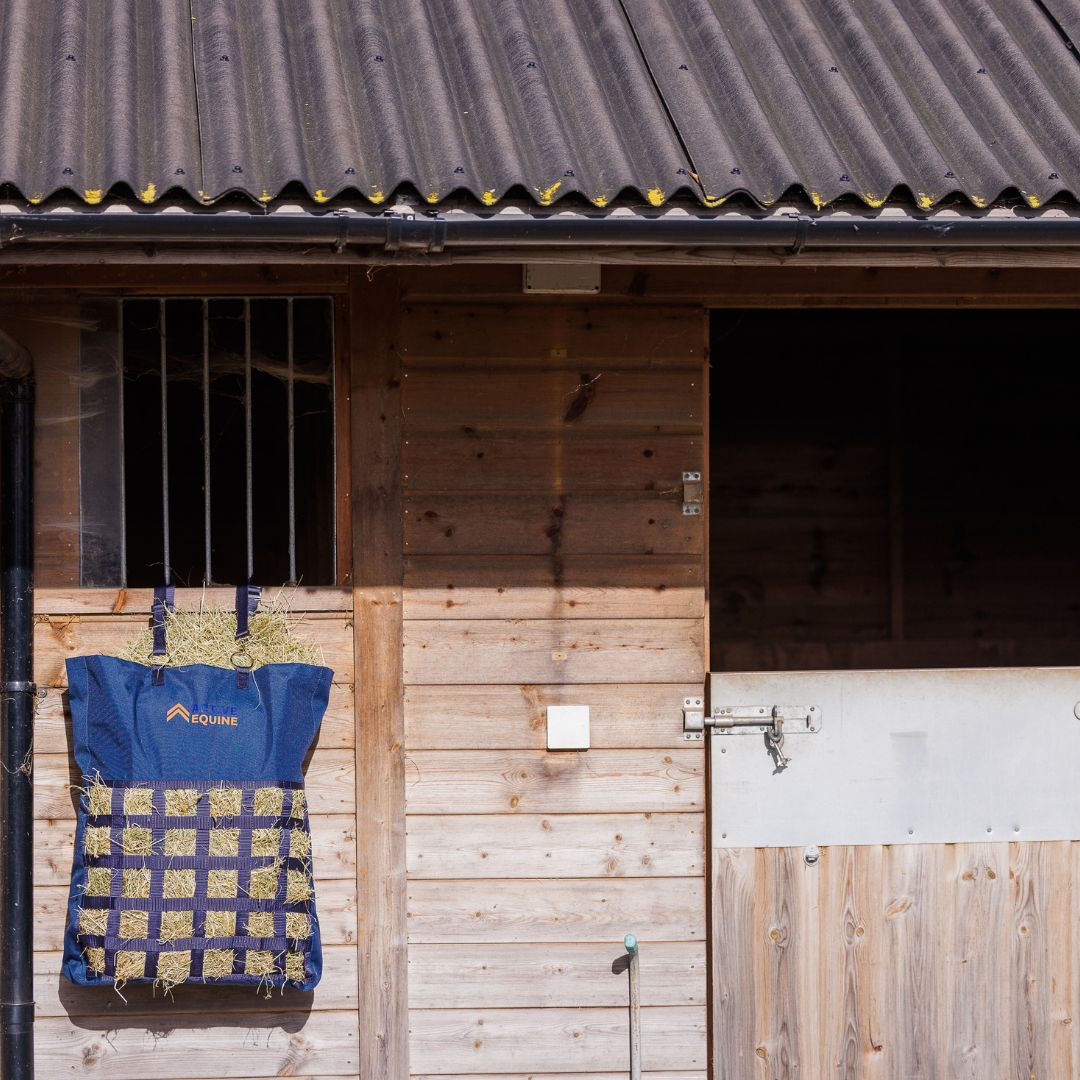 Slow Feed Hay Bag | Heavy Duty (Free Gift) - Active Equine