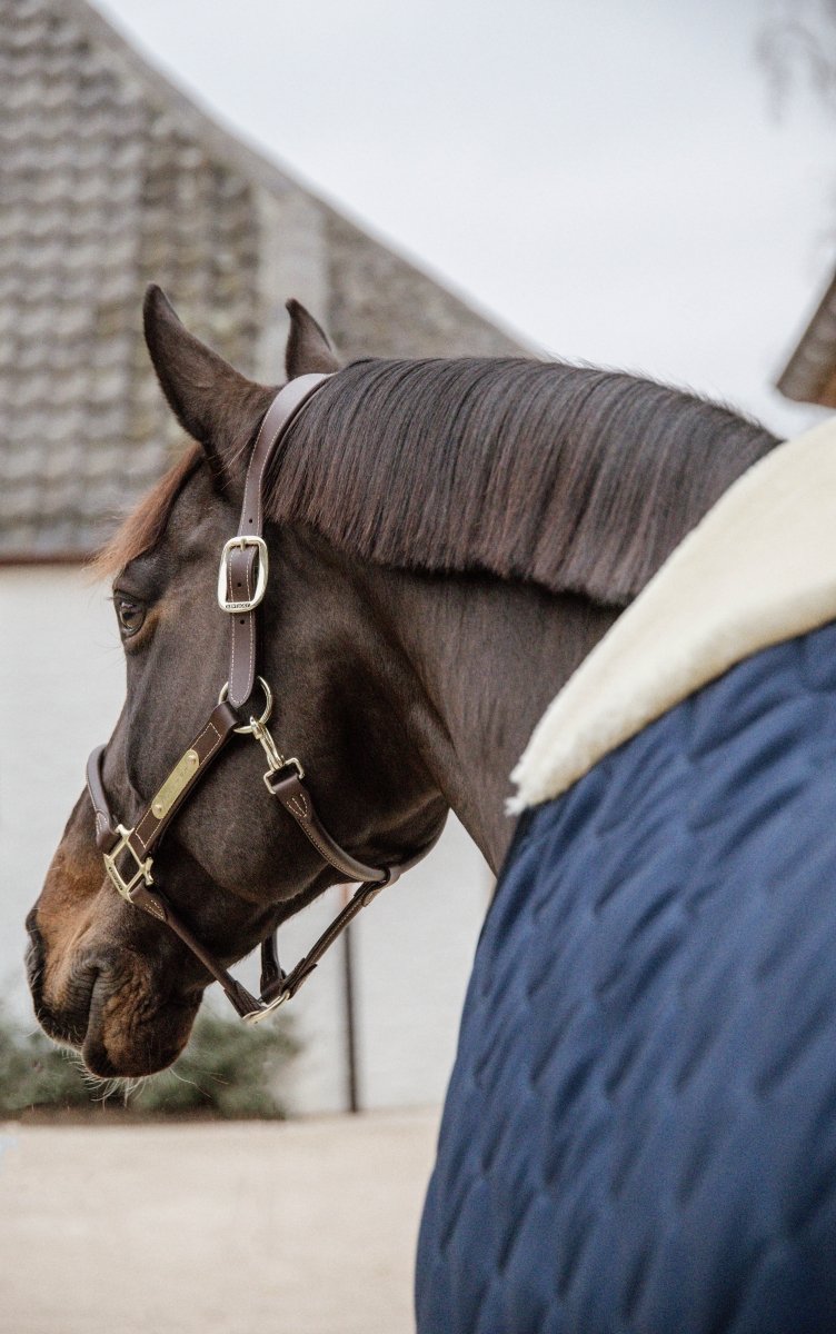 Stable Rug Comfort 200g Navy | Kentucky Horsewear - Active Equine